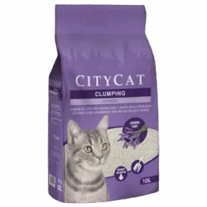 LIT CITYCAT AGG LAVENDER 10L