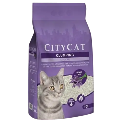 LIT CITYCAT AGG LAVENDER 10L